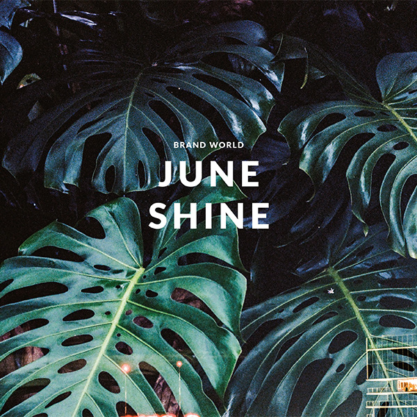 Brand World - JUNE SHINE logo